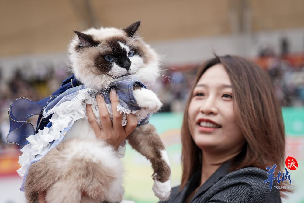 视频1500多名宠主携宠参加宠物嘉年华在华农举行