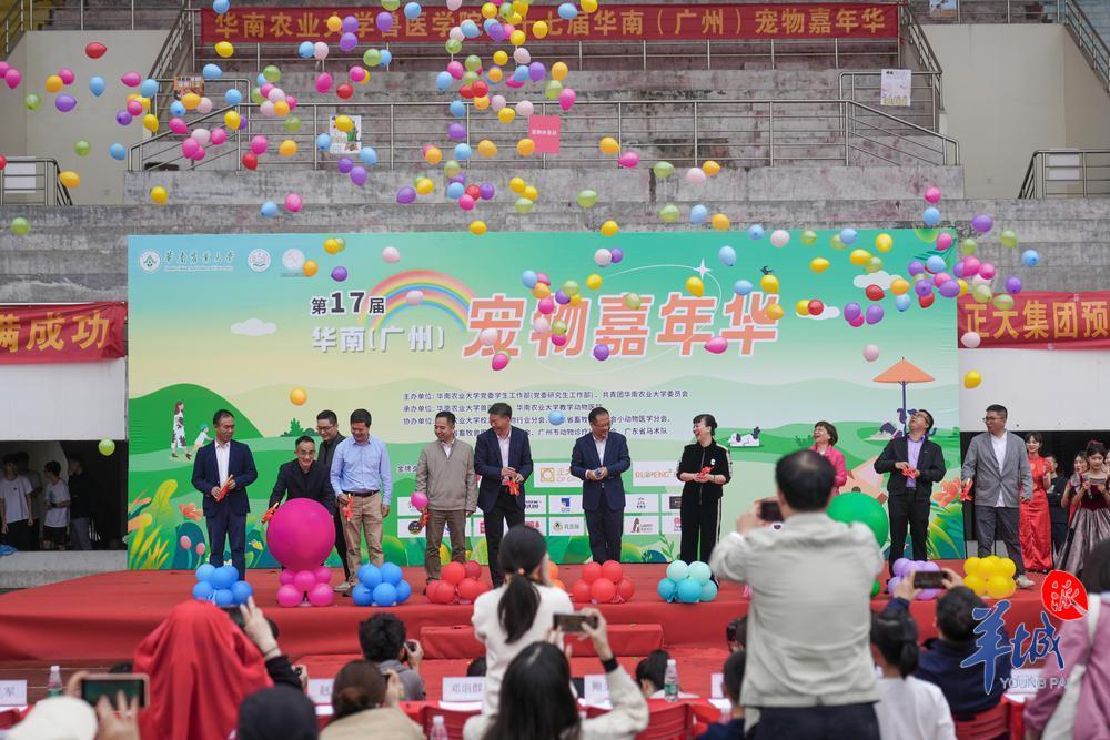 视频1500多名宠主携宠参加宠物嘉年华在华农举行