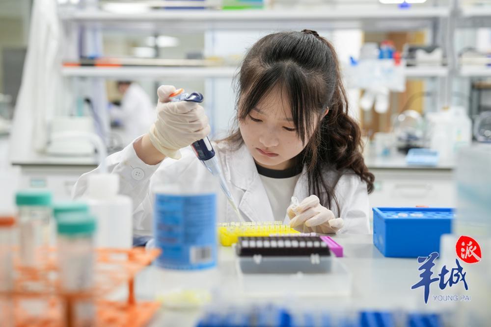 中山大学深圳校区农学院的AI育种实验室内，学生进行实验操作 羊城晚报记者 梁喻 摄.jpg