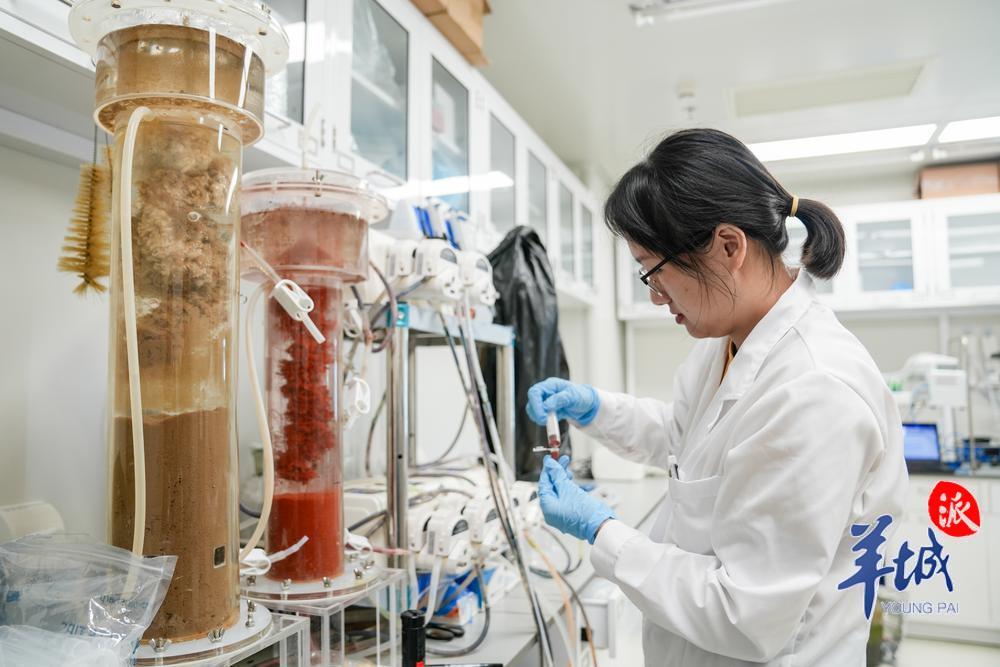 中山大学深圳校区生态学院内的修复与可持续生态平台，科研人员进行微生物培养与提取 羊城晚报记者 梁喻 摄.jpg