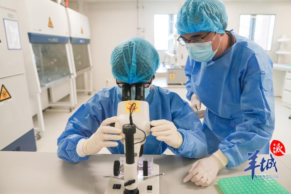 中山大学深圳校区公共卫生学院（深圳）的生物安全二级实验室，教师指导学生操作 羊城晚报记者 梁喻 摄.jpg