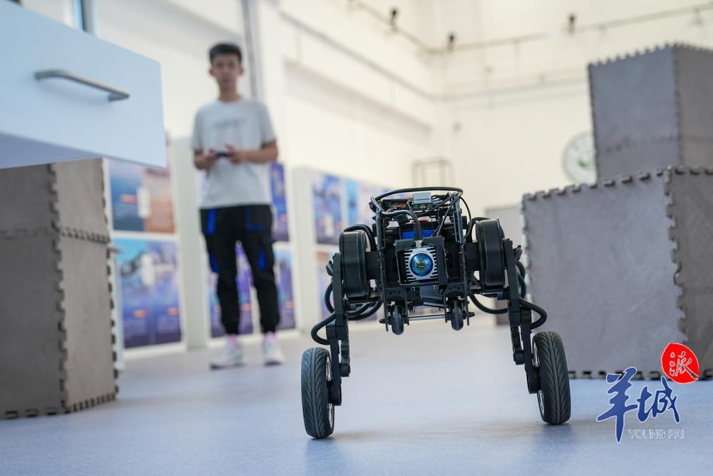 中山大学深圳校区智能工程学院的无人系统控制技术实验室内，学生操作轮腿机器人 羊城晚报记者 梁喻 摄.jpg