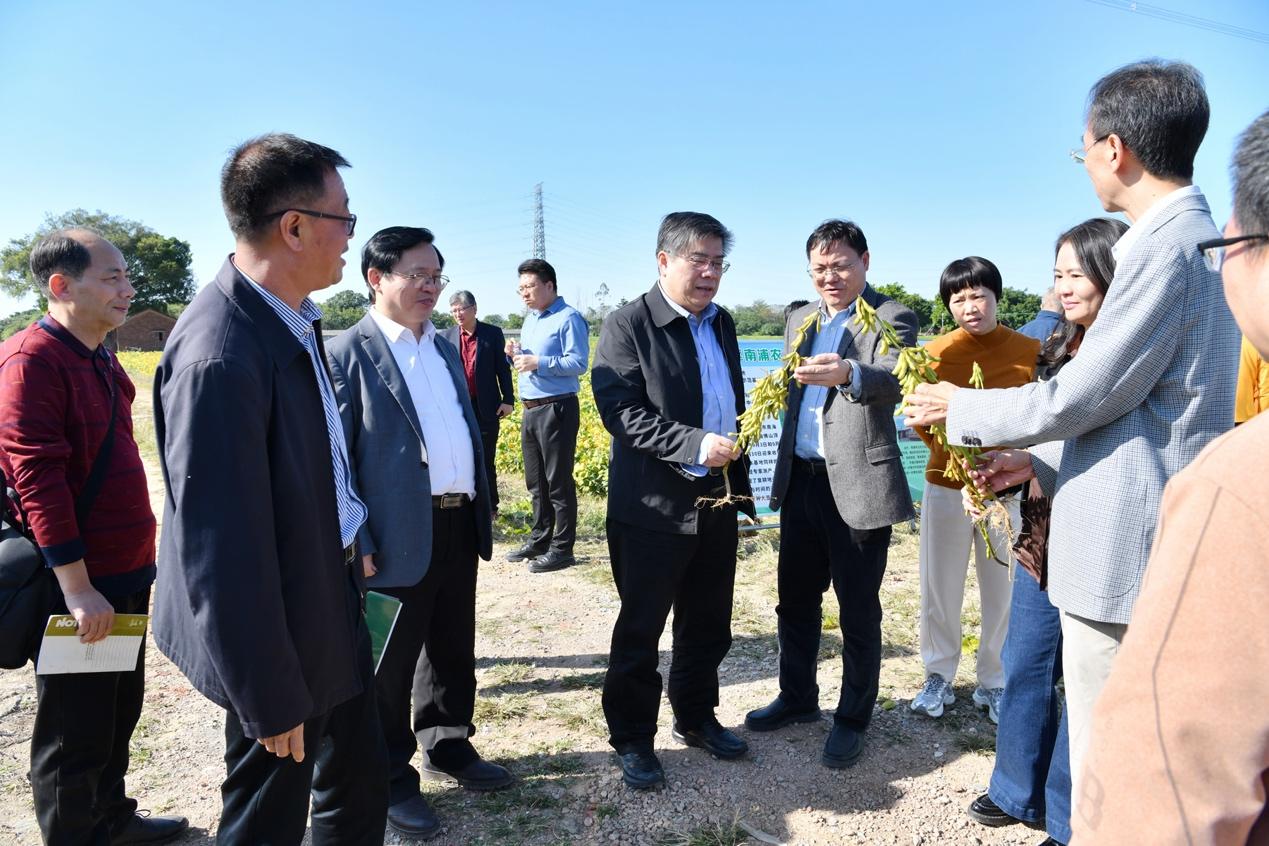 必赢撂荒地变高产田华农助力佛山南海复耕地实现大豆高产种植(图3)