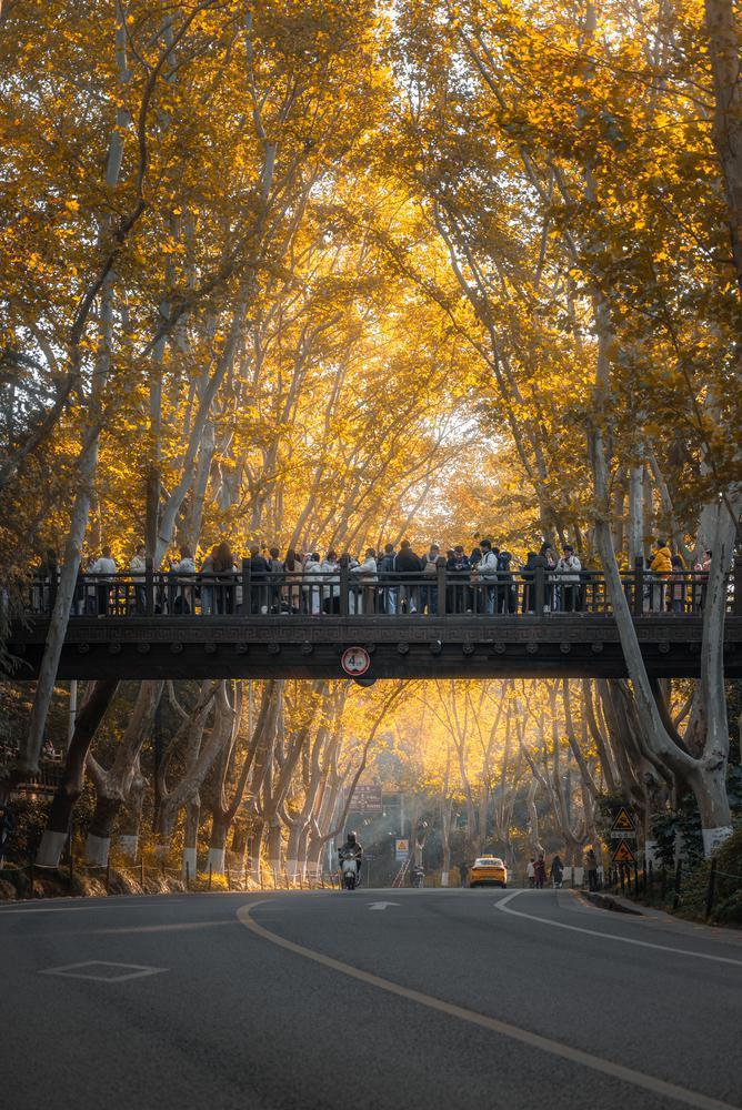 binary_middle (2).jpg