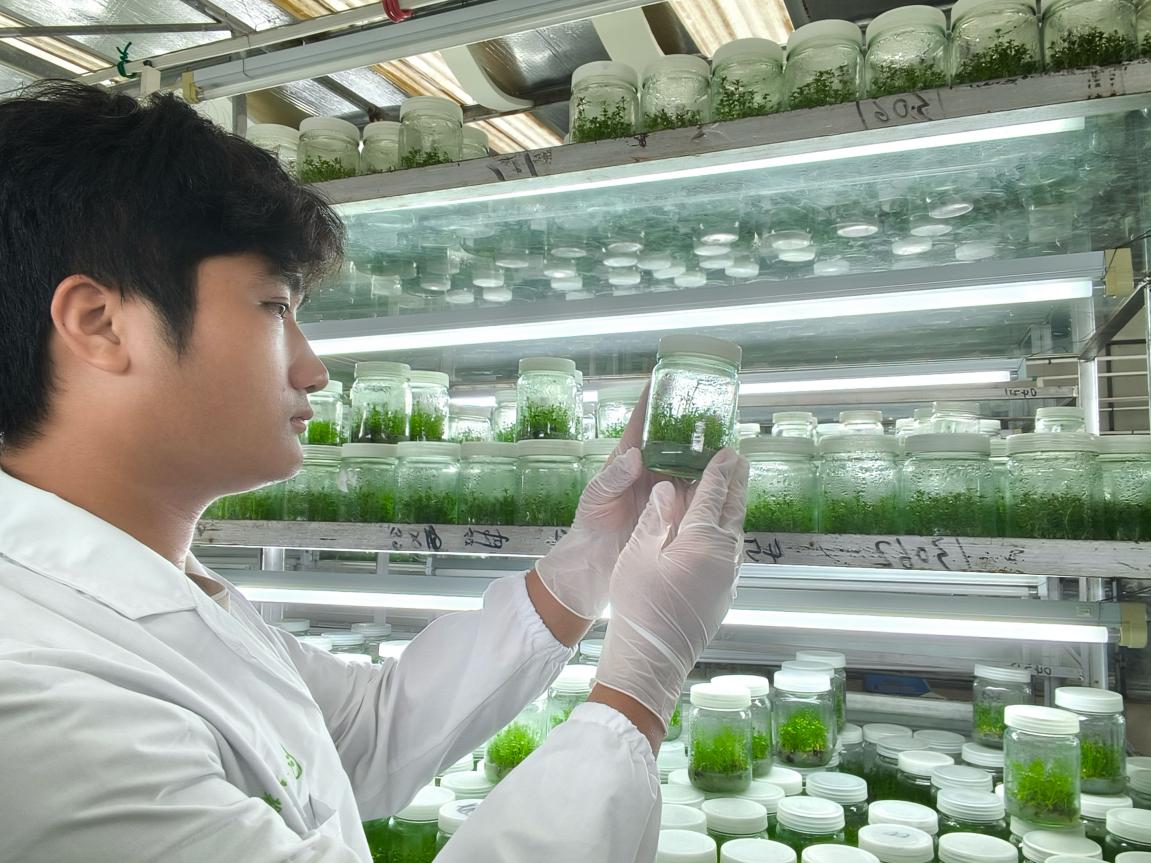 红土地走出新农人广东农工商突击队科技助航“菠萝的海”(图5)