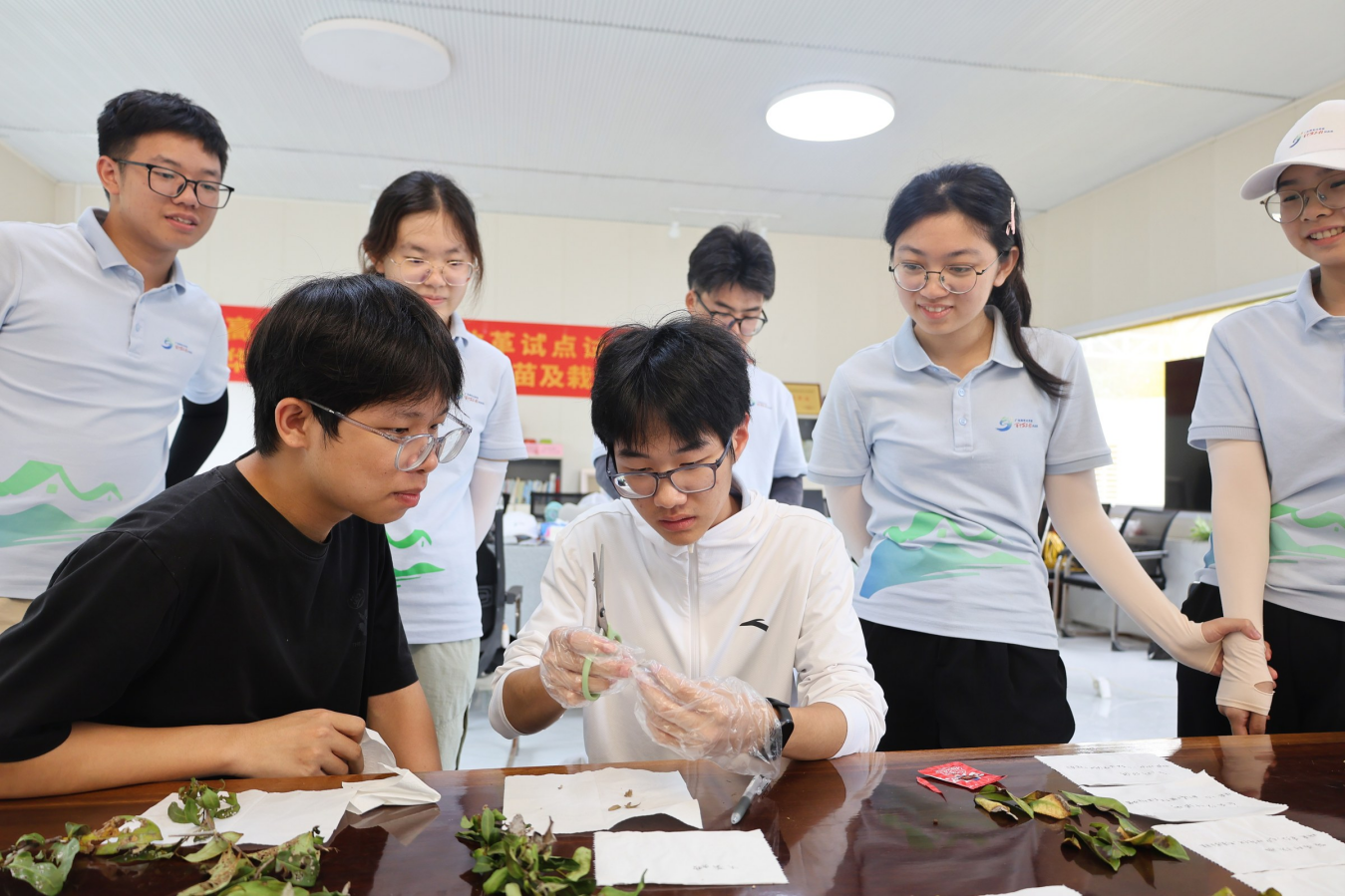 从瓜田到茶山:华南师大学子用AI破解植保难题(图2)